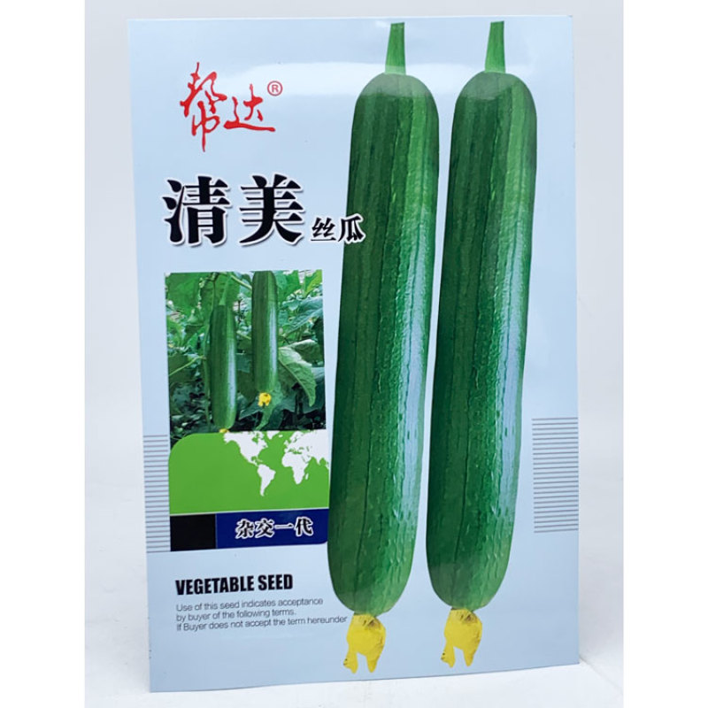 帮达短油皮丝瓜种子楚玉香5号香丝瓜种子油亮短水瓜种子原装