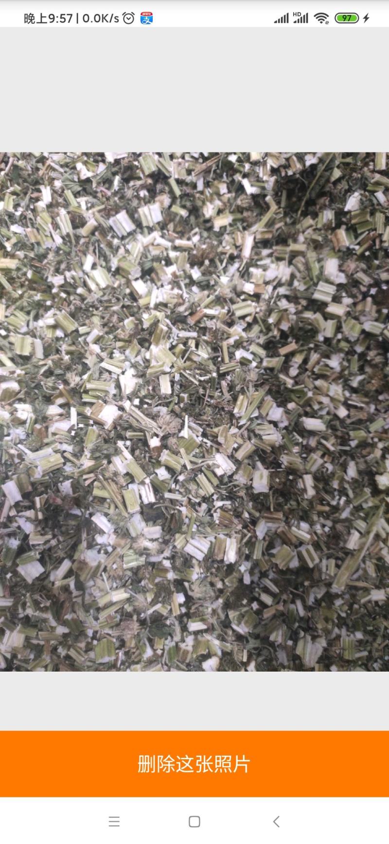 益母草干货益母草坤草中药材草药量大从优