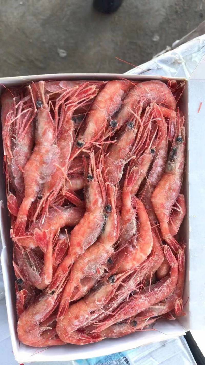 刺身甜虾货源充足产地直发，诚信经营全国发货