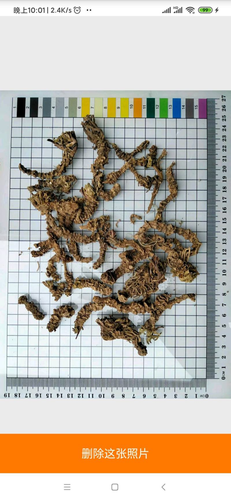缬草光缬草常年经营冷背中药材量大从优