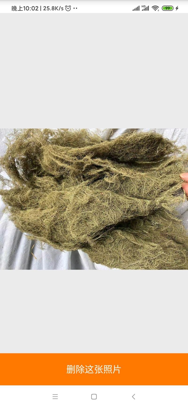 云雾草量大从优常年经营各种中药材