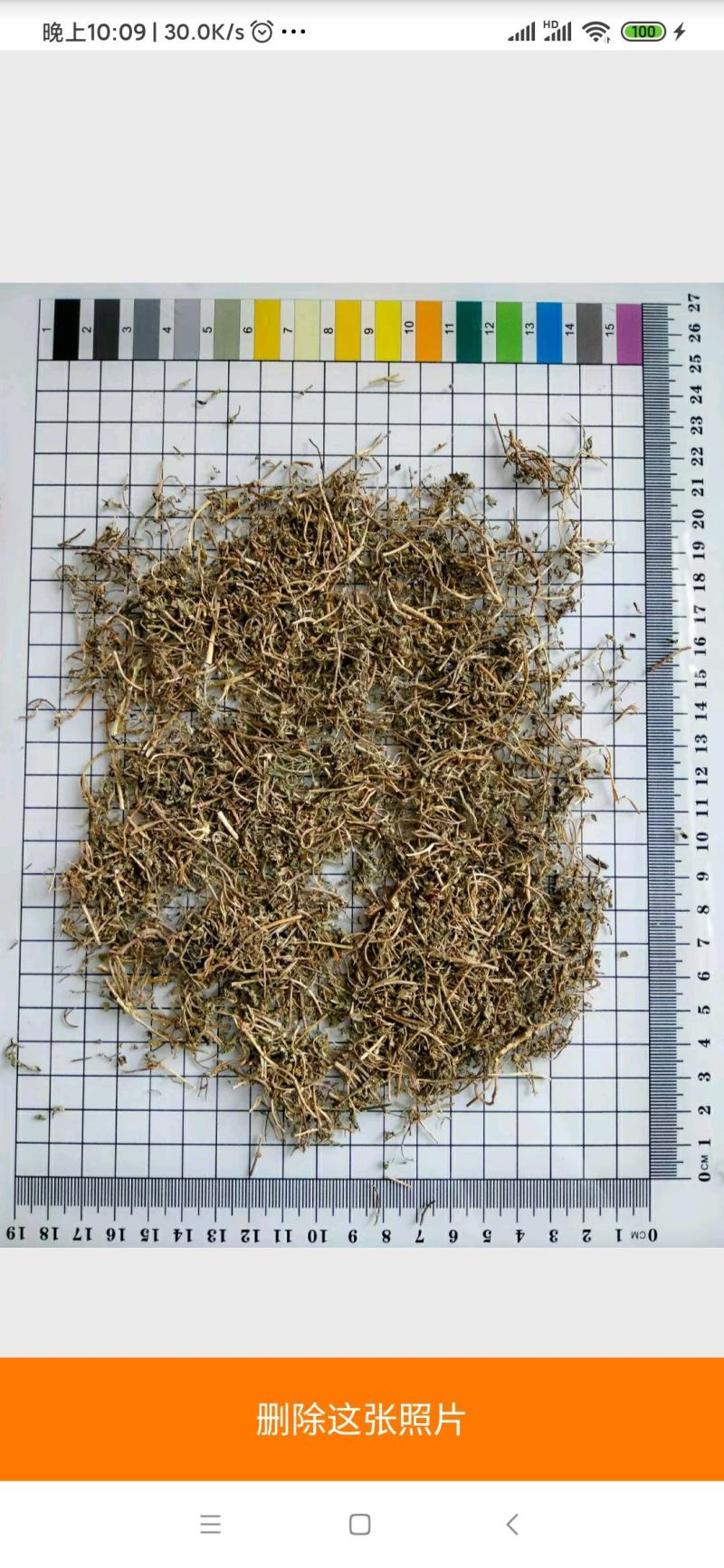 鹅不食草中药材干货常年经营各种中药材