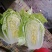 大白菜黄心大白菜品质好价格低量大从优货源充足
