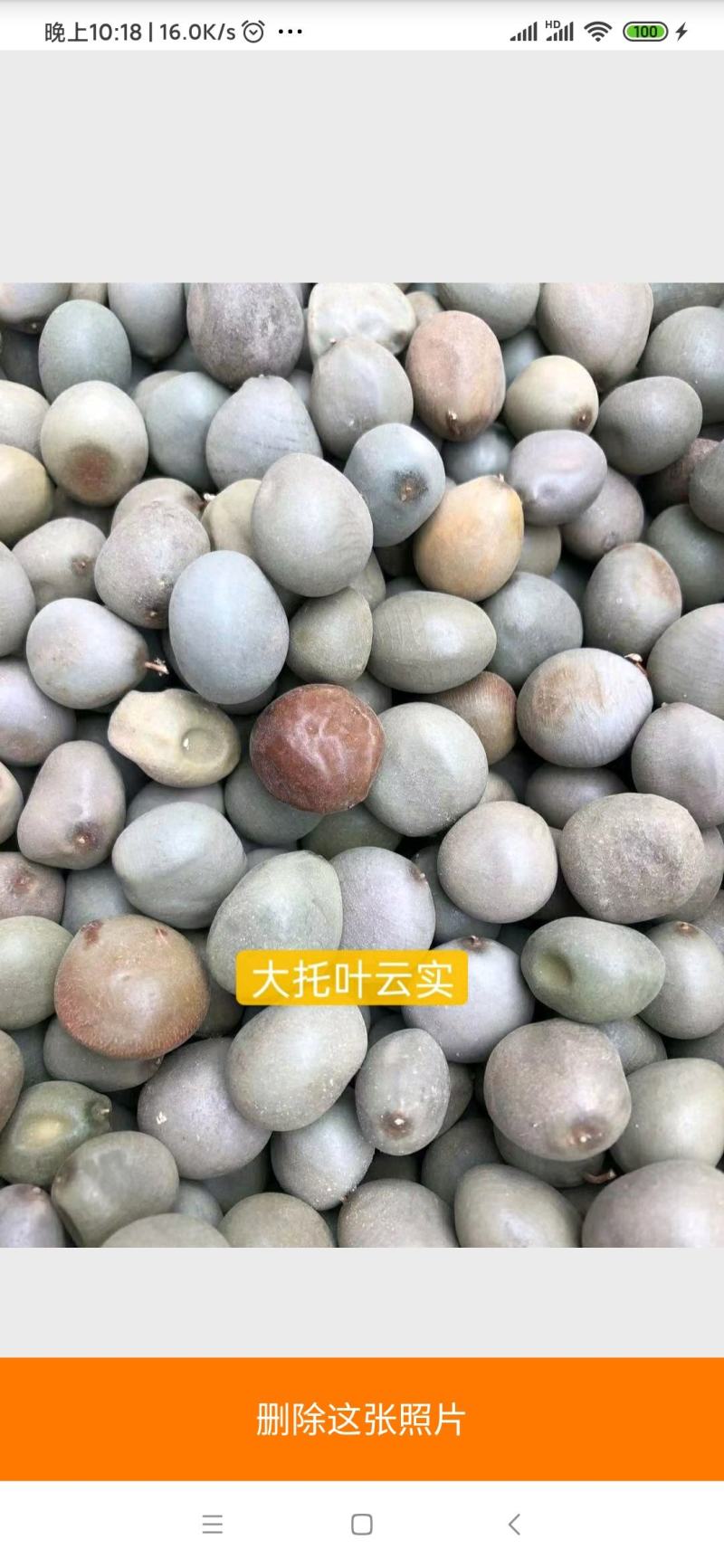 大托叶云石云石子中药材药干净无杂质