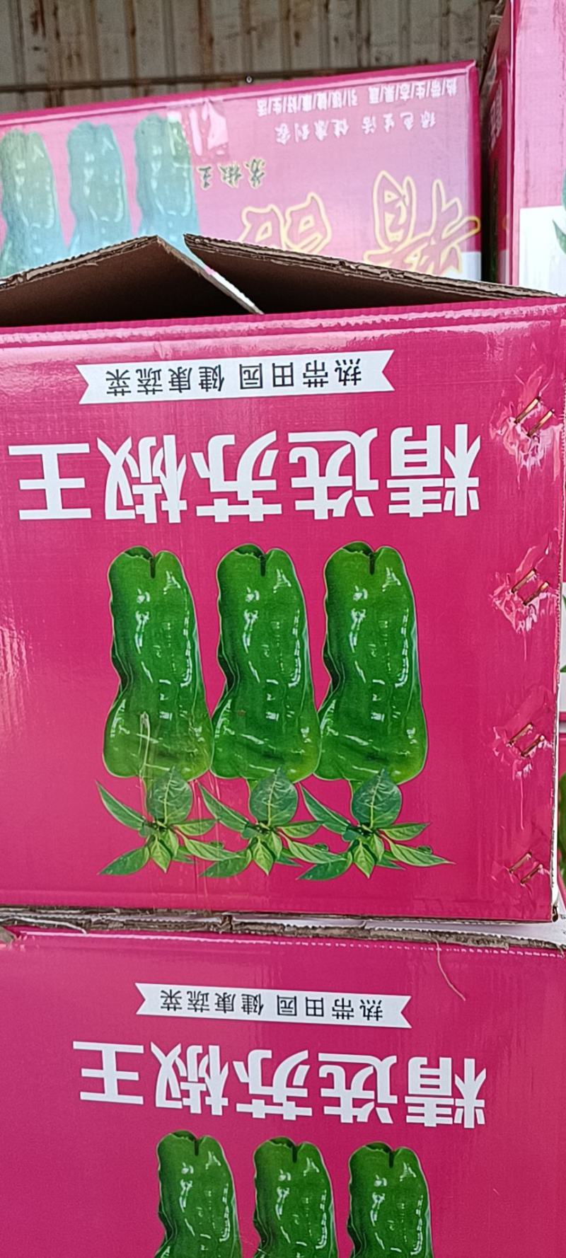 精品301辣椒广东徐闻基地直发量大价优，整车发货对接商超