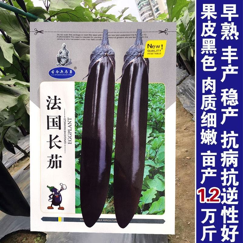 法国长茄种子，5克