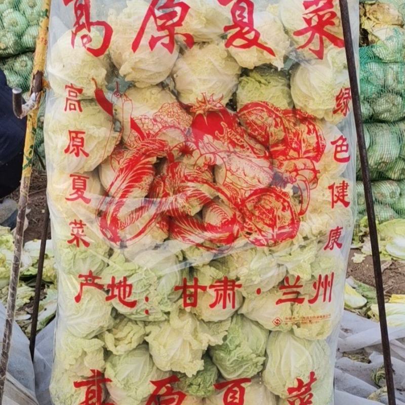 安徽亳州基地娃娃菜大量上市