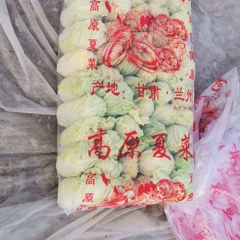 安徽亳州基地娃娃菜大量上市