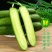 水果小黄瓜新鲜无刺小黄瓜3斤5斤脆甜小青瓜生吃当季蔬菜