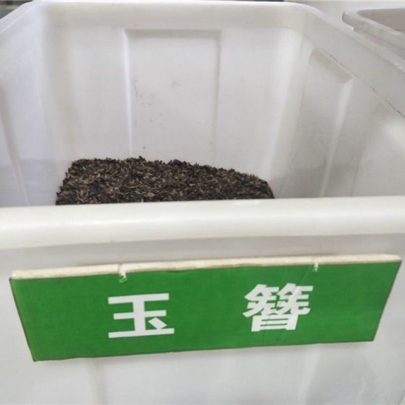 新采集玉簪种子白鹤花园林绿化玉簪种子易成活园林绿