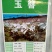 新采集玉簪种子白鹤花园林绿化玉簪种子易成活园林绿
