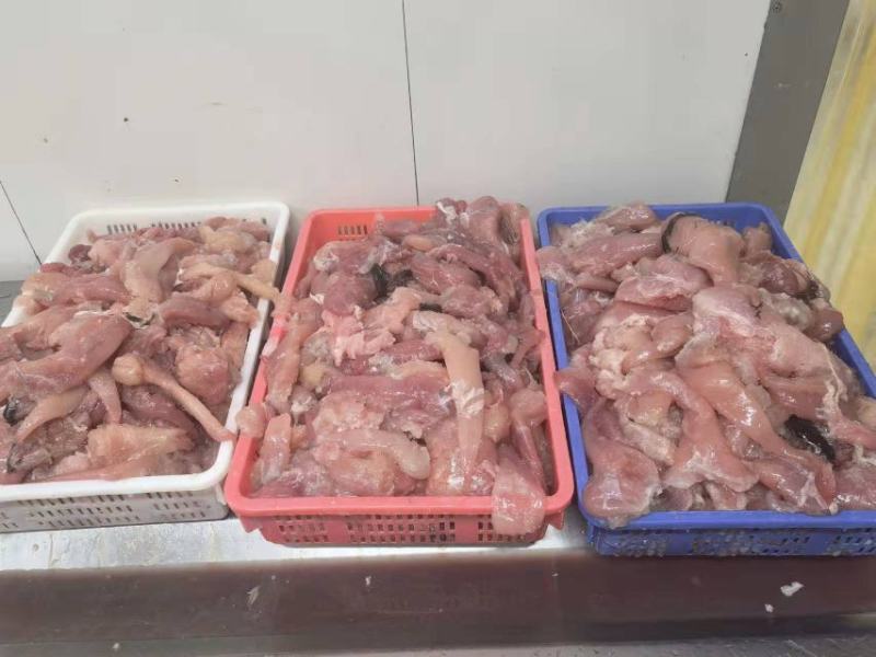鱼籽箭齿蝶鱼籽怎么作都好吃供应加工厂酒店