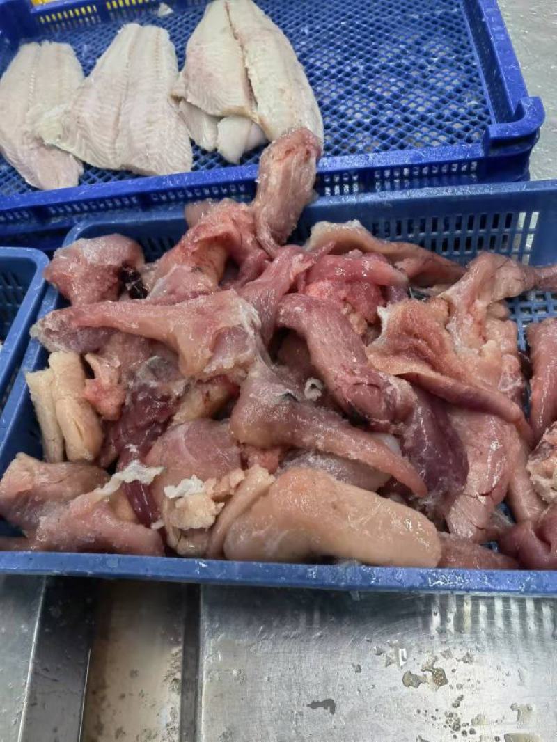 鱼籽箭齿蝶鱼籽怎么作都好吃供应加工厂酒店