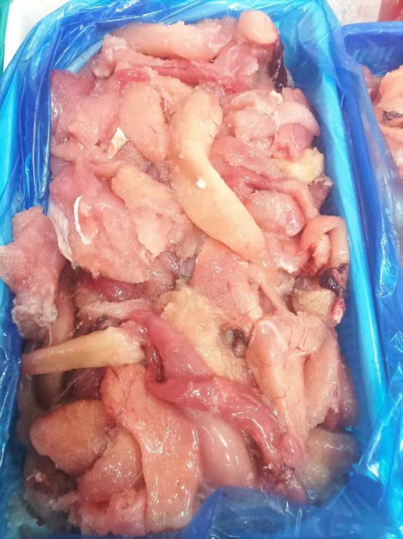 鱼籽箭齿蝶鱼籽怎么作都好吃供应加工厂酒店