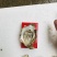 小小蚝台山蚝湛江蚝小蚝半壳开边产地直销