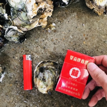 小小蚝台山蚝湛江蚝小蚝半壳开边产地直销