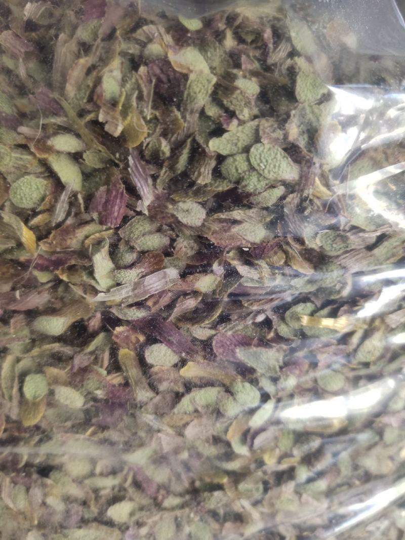 新货浙江品种铁皮石斛(切片)大胶质丰富散装长年批发