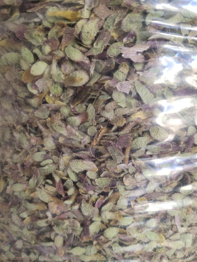 新货浙江品种铁皮石斛(切片)大胶质丰富散装长年批发