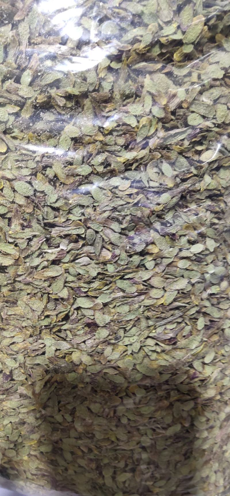新货浙江品种铁皮石斛(切片)大胶质丰富散装长年批发