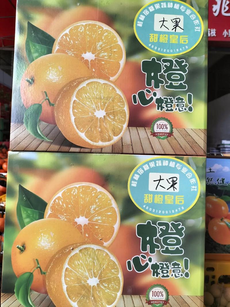 【一件代发】广西脐橙自家果园无中间商品质保障。