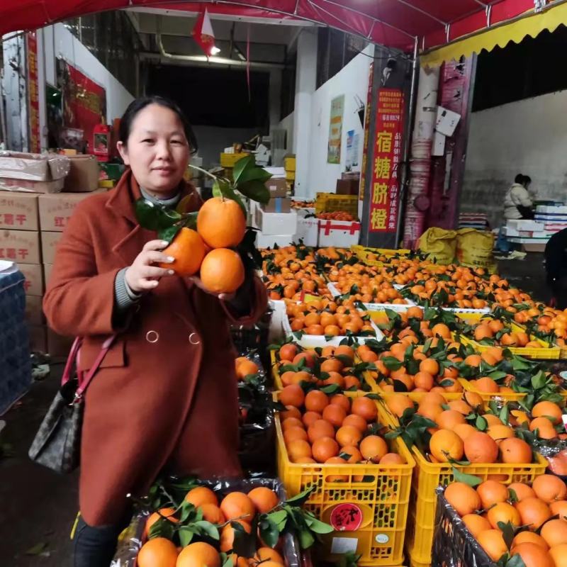 【一件代发】广西脐橙自家果园无中间商品质保障。
