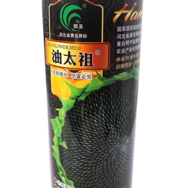 邯圣油太祖油葵种子，200克，出油率76%.