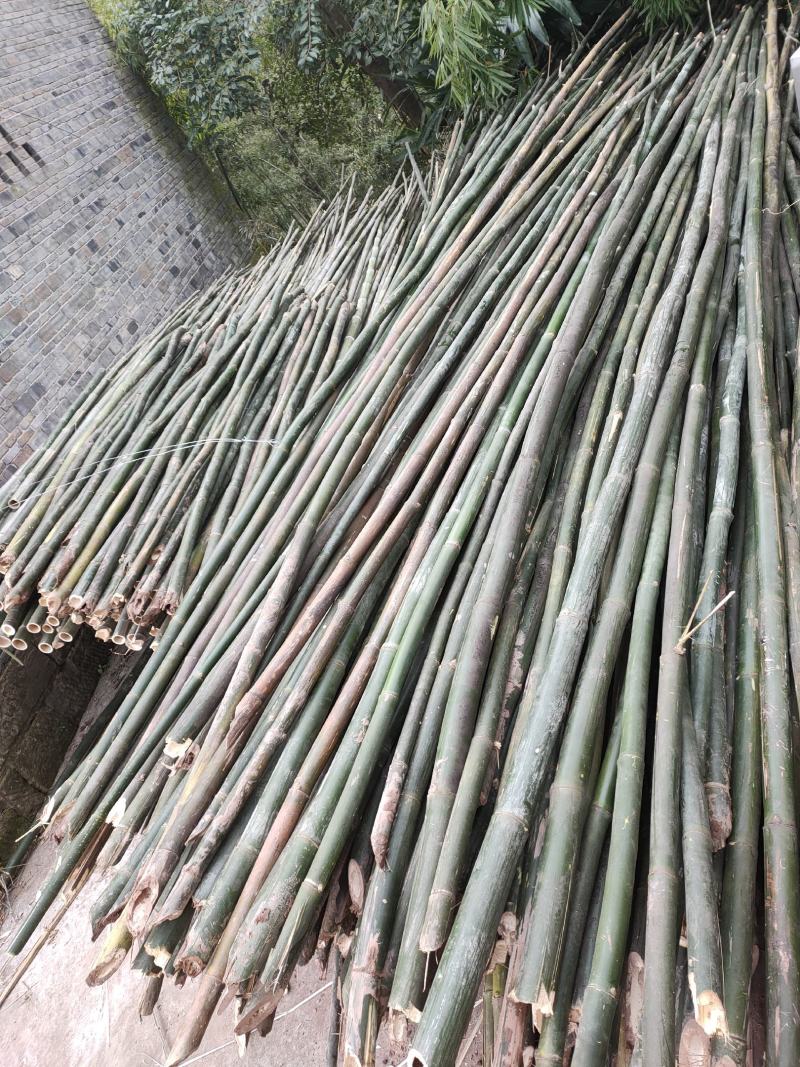 重庆市涪陵区义和镇(振超木禾合作社)有大量硬筒黄毛竹卖