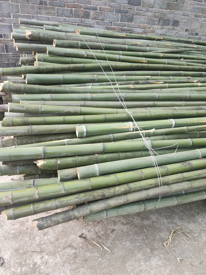 重庆市涪陵区义和镇(振超木禾合作社)有大量硬筒黄毛竹卖