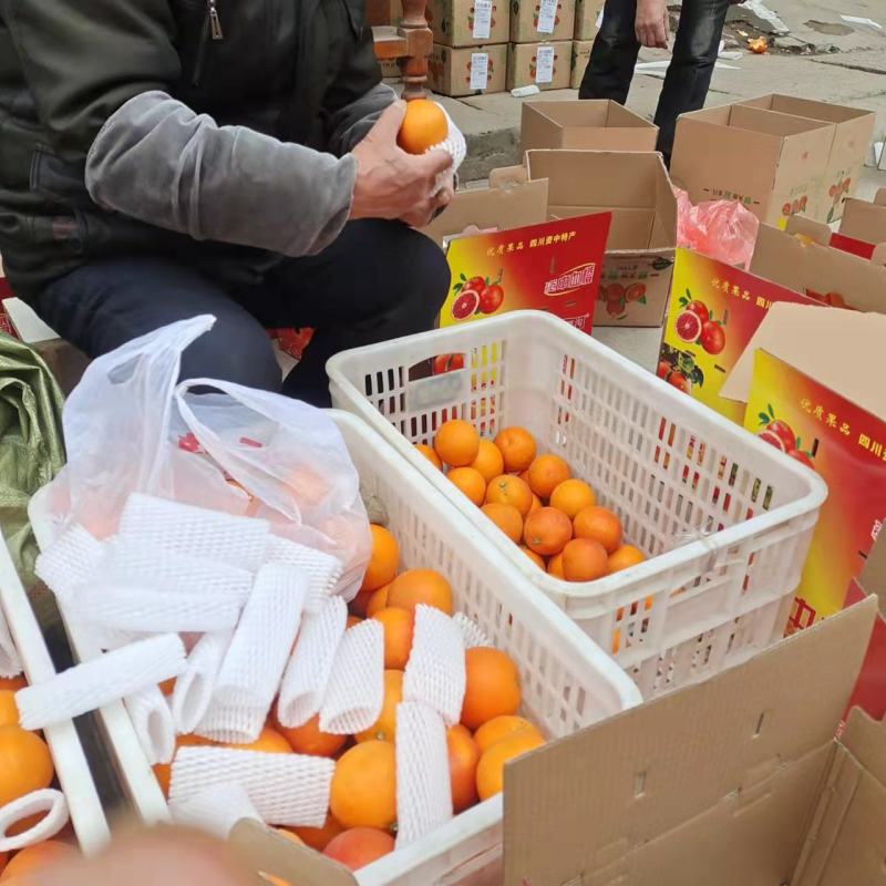 精品四川资中塔罗科血橙孕妇橙手剥橙支持一件代发（包邮）