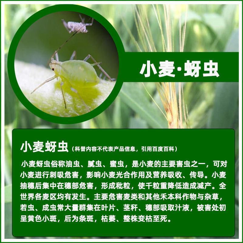 瑞功5%高效氯氟氰菊酯果蔬菜青虫小麦蚜虫蓟马飞虱农药杀