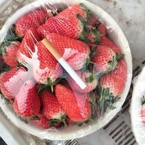 精品甜宝草莓大果