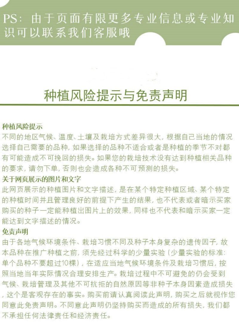 辣椒苗，尖椒苗，线椒苗，螺丝椒苗，羊角椒苗泡椒苗，