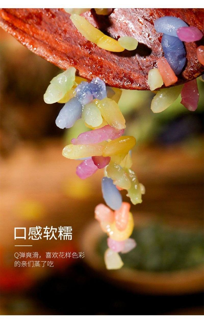 花米饭云南五彩米五色米植物染色彩色米七色米七彩糯米饭彩色