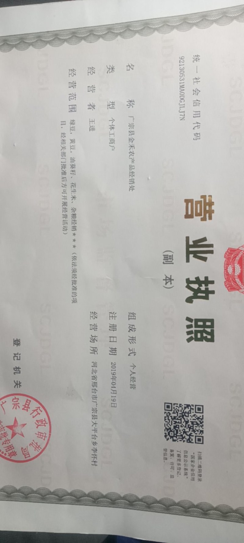 精品油葵产地直供一手货源品质保证诚信经营欢迎采购！