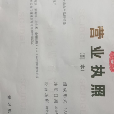 油葵