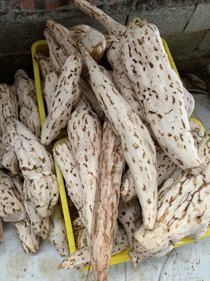 颗粒状葛根粉传统工艺加工的葛根粉，纯葛根粉不掺假