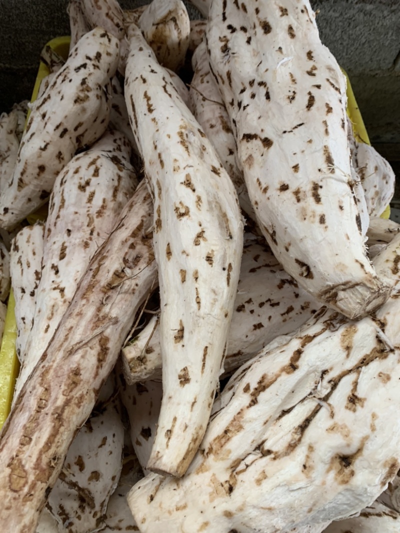 颗粒状葛根粉传统工艺加工的葛根粉，纯葛根粉不掺假