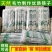 一次性筷子方便筷大批量发货饭店外卖打包专用便宜家用商用筷