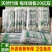 一次性筷子方便筷大批量发货饭店外卖打包专用便宜家用商用筷
