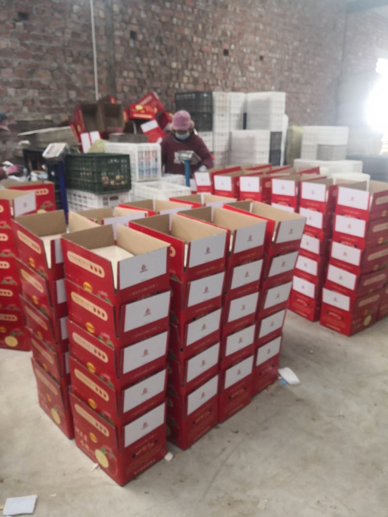 阿克苏红旗坡冰糖心苹果，