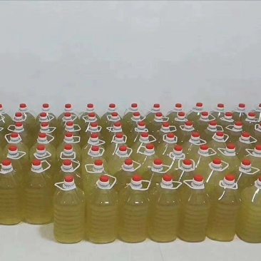 房县黄酒批发