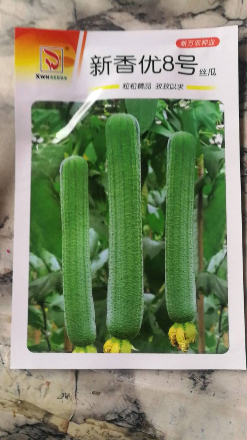 新香优8号丝瓜，早熟果实长棒形，果皮深绿色，味道香浓甜。