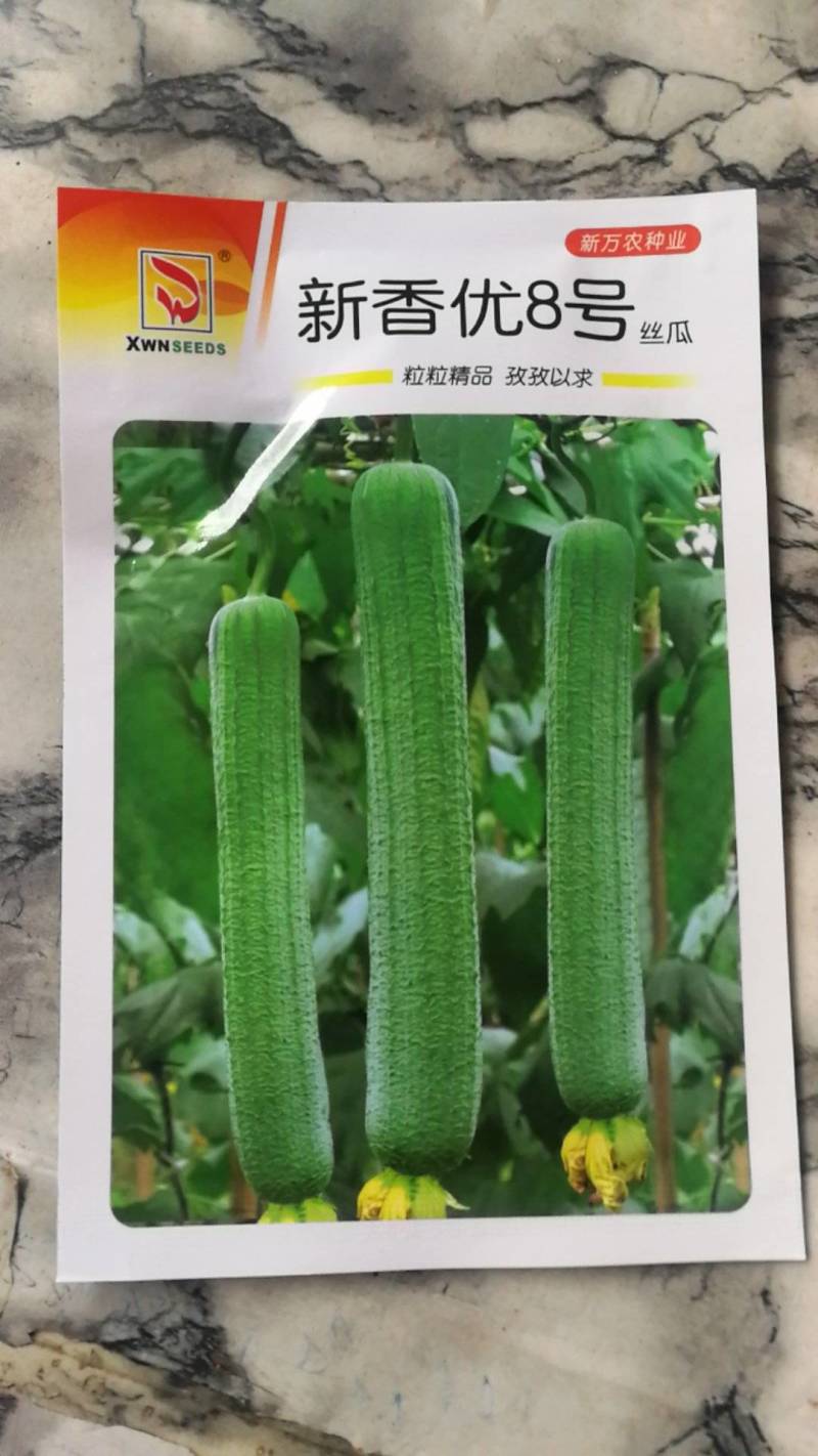 新香优8号丝瓜，早熟果实长棒形，果皮深绿色，味道香浓甜。