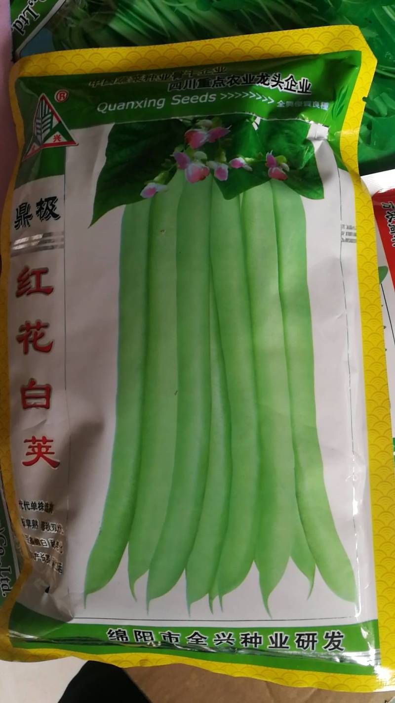 红花白荚，极早熟春秋双优豆条嫩白耐老化高产长荚耐贮运。