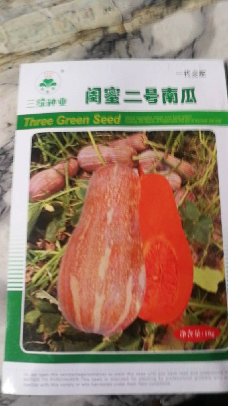 闺蜜二号南瓜早中熟坐果性好瓜圆筒型肉质细腻味甜口感好。