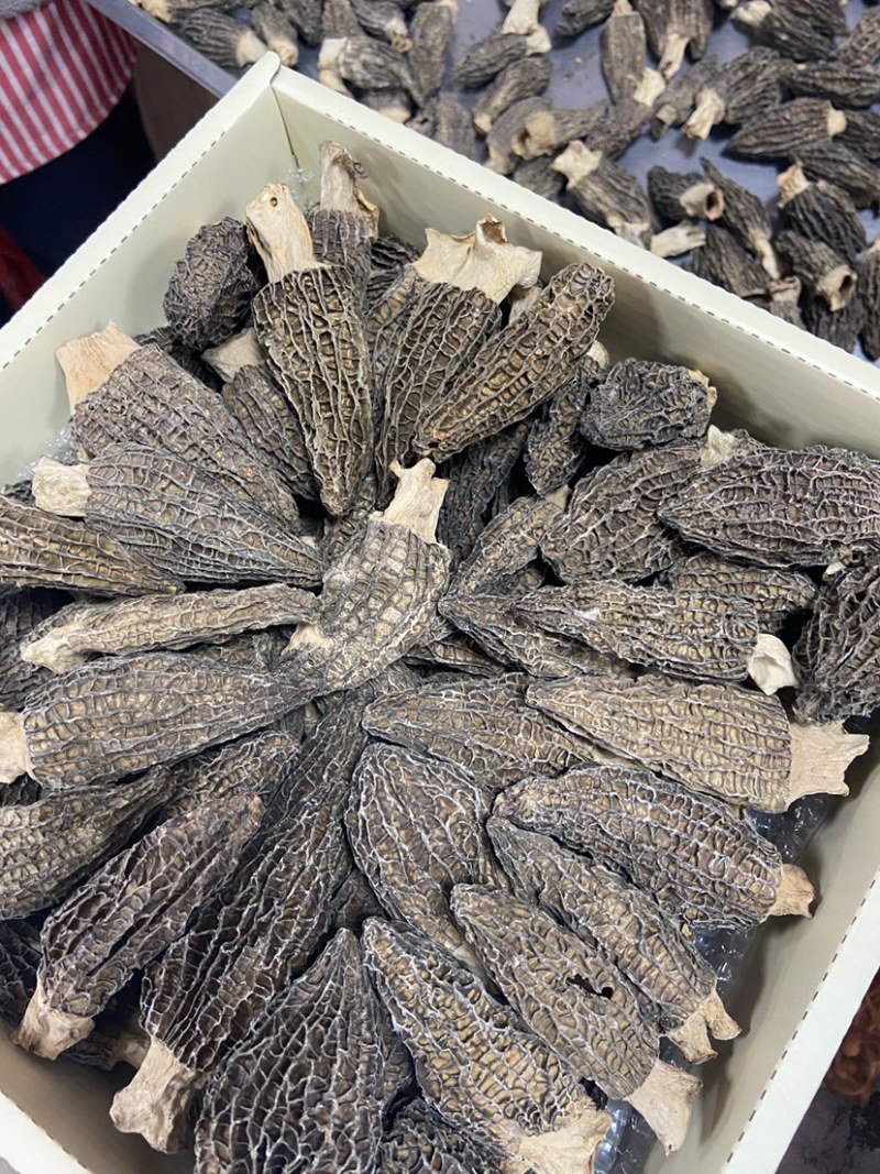 羊肚菌250克/盒厚肉整盒带礼袋实用送礼大方