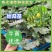 丝瓜苗，中绿杂交丝瓜苗，寿光育苗基地苗厂直对接