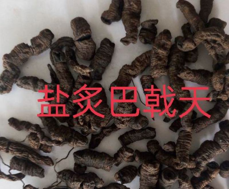 巴戟天，巴戟肉，炙巴戟天质量保证欢迎咨询选购！