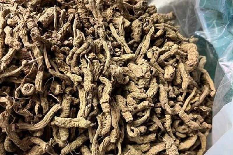巴戟天，巴戟肉，炙巴戟天质量保证欢迎咨询选购！