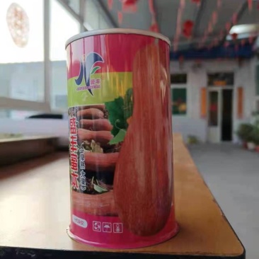 盛丰蜜本南瓜种子基地杂交用籽甘面口感好高产春甜面南瓜